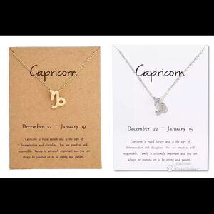 Capricorn ♑️ Zodiac Adjustable Fashion Necklace
